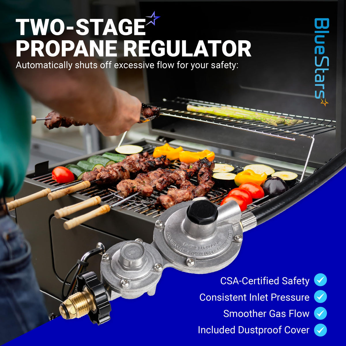 F273684 12 FT Propane Hose with 2-Stage Regulator for Mr. Heater Big Buddy, RV, Grill