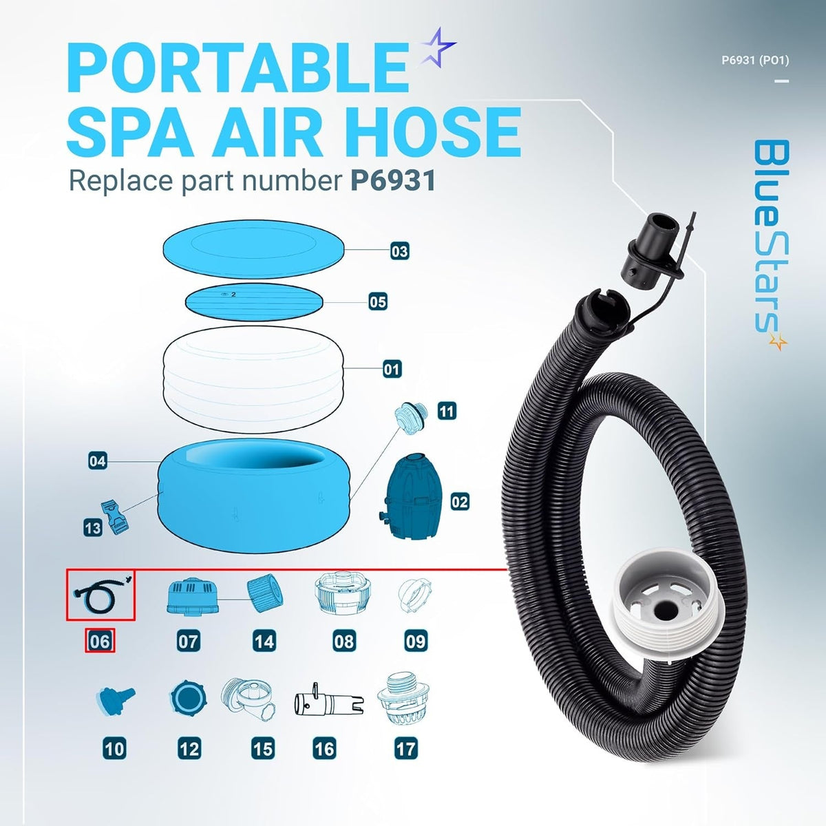 P6931 Air Inflation Hose Pipe