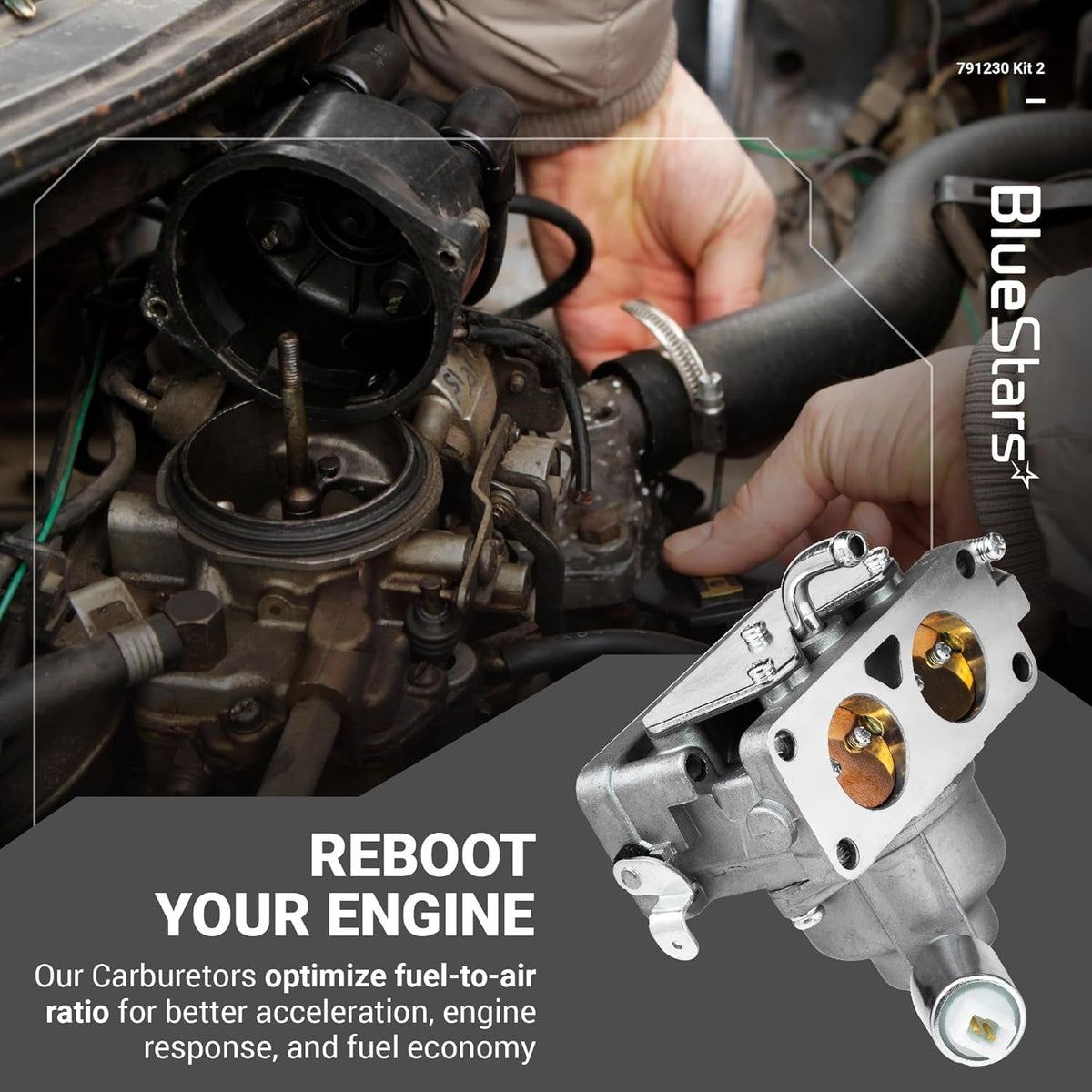 791230 Carburetor Kit