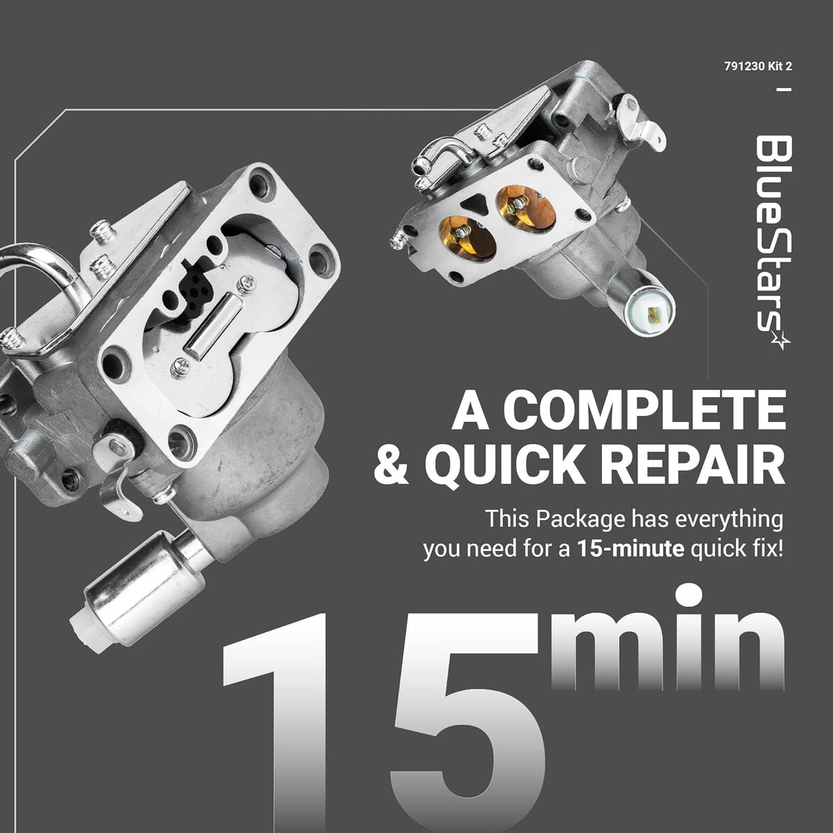 791230 Carburetor Kit