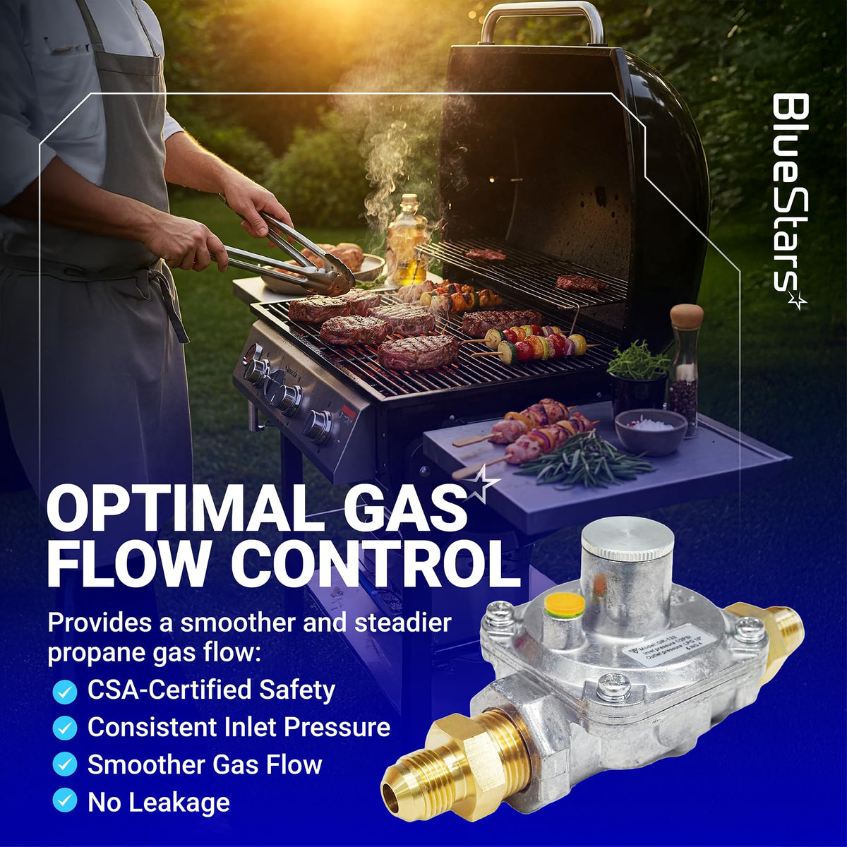 1/2" Gas Pressure Regulator - Adjustable Natural Gas/LP, Includes 2 Brass NPT Adapters
