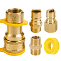 1/2" Gas Pressure Regulator - Natural Gas/LP, 2 Brass 1/2" NPT Adapters