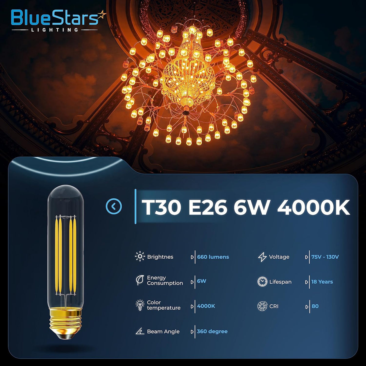 T10 Tubular LED Light Bulbs T30